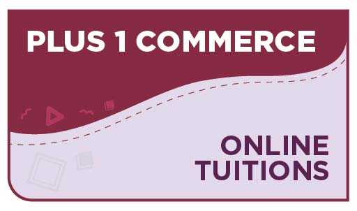 Plus 1 Commerce Online Tuition