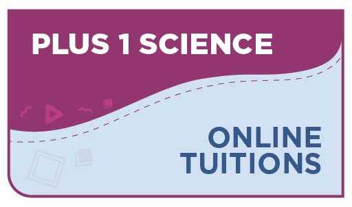 Plus 1 science online tuition