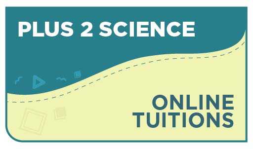 Plus 2 Commerce Online Tuition